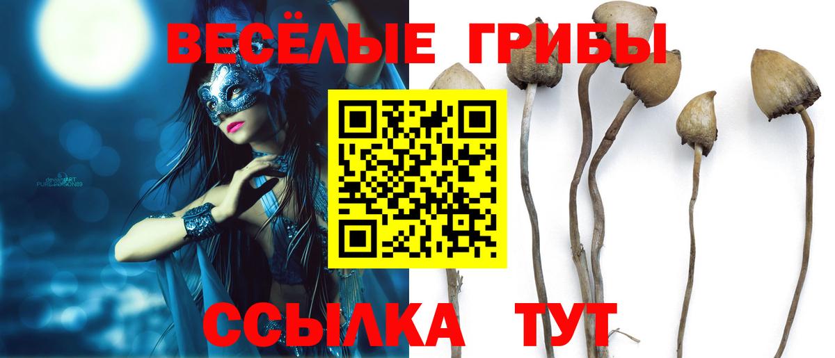 Галлюциногенные грибы MAGIC MUSHROOMS Нурлат